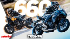 NOUVELLES TIGER SPORT ET TRIDENT 660 2026