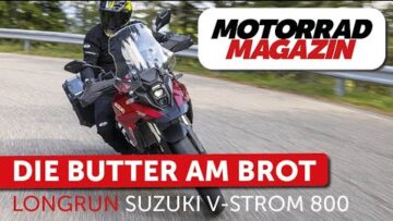 Suzuki V-Strom 800 Dauertest-Abschluss Saison 2025 – Mehr fürs Geld