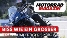 Test Triumph Tiger Sport 660 2026 – Mit mehr Zähnen