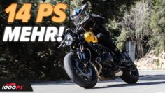 Triumph Trident 660 (2026) Wird sie jetzt unschlagbar?