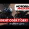 Vergleich Trident 660 gegen Tiger Sport 660 – So triffst