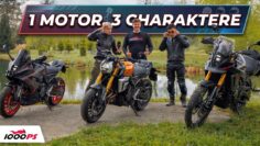 Suzuki 800 Vergleich – GSX-8R, GSX-8T und V-Strom 800 DE