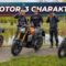 Suzuki 800 Vergleich – GSX-8R, GSX-8T und V-Strom 800 DE