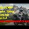 1782225211_hqdefault.jpg