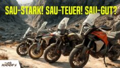 Big-Enduro-Vergleich 2026: Komfort, Sport, Reise und Preis-Leistung
