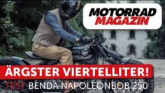 Blendend! Benda Napoleon 250 im Test – Warum mehr Schein