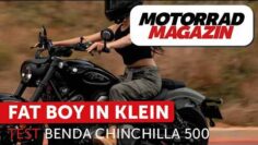 Test der Benda Chinchilla 500 – SIeht aus wie eine