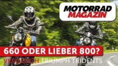 Vergleich Trident 660 gegen Trident 800 – Wer gewinnt das