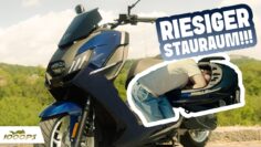 Peugeot Pulsion Evo 125 Test: Günstiger Stadtroller mit viel Stauraum